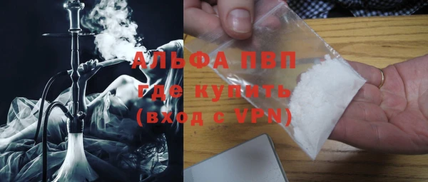 прущие грибы Болохово